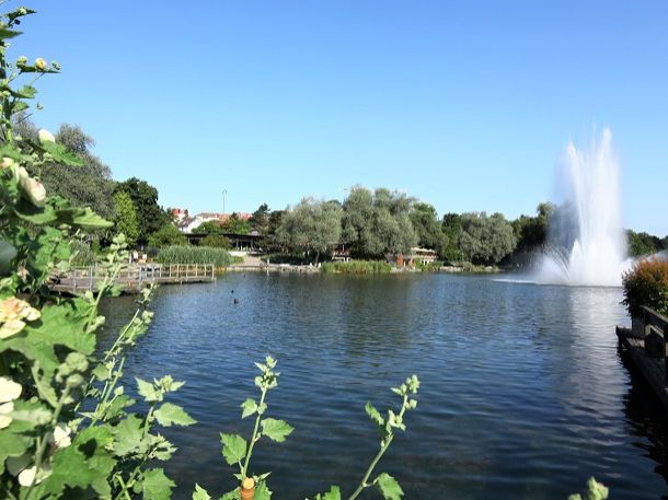 Teaser Park im Grünen